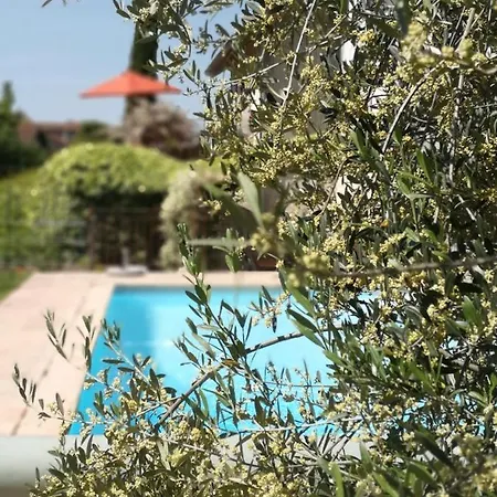 Bed & Breakfast La Petite Chartreuse *
